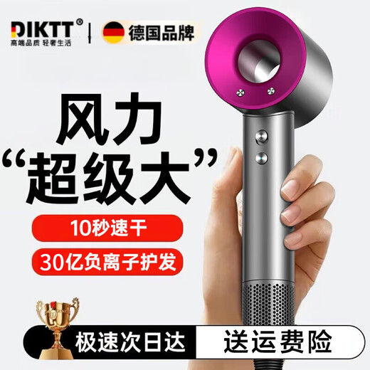 DIKTT Germany Hair Dryer Home Silent Negative Ions High Power Does Not Hurt Electricity Hair Dryer Girls Special Household Genuine Does Not Hurt Hair Silent Second Drying Hair Care Hair Dryer Laifen Rose Red Five Air Nozzles 3 Billion Negative Ions Valentine's Day Gift for Your Target