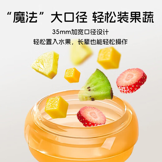 Ozan Anchor Newborn Baby Bites, Fruit and Vegetables, Fruit Complementary Food, Bites, Cat Claw Shape Fruit Complementary Food, Cat Claws, Nibbles (Large Size) + Storage Box, 1 Pack