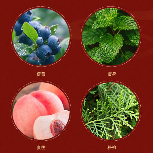 Forbidden City Culture Forbidden City Calendar Calligraphy and Painting Edition 2026 Palace Museum Cultural New Year Business Gifts 2026 2026