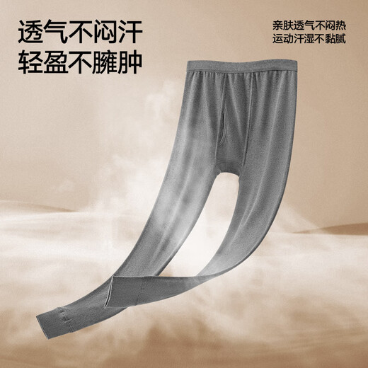 海澜之家男士秋裤男纯棉100%棉210g10A抗菌防螨棉毛裤保暖裤线裤单裤
