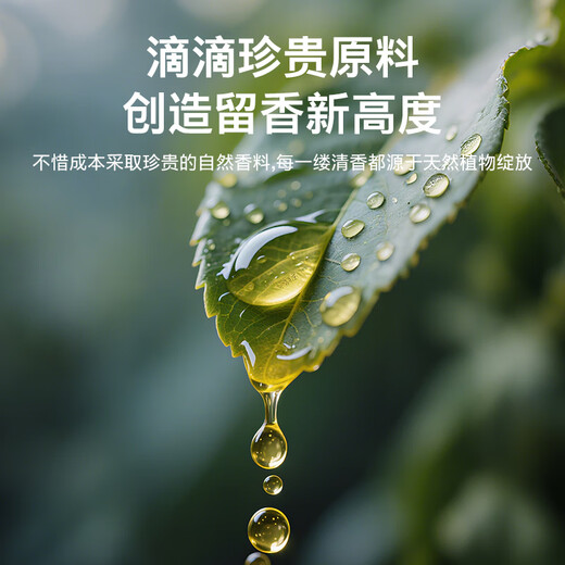 Centenary Car Aromatherapy Car Fragrance Car Perfume High-end Encounter Light Fragrance Long-lasting Fragrance Removes Odors and Freshens the Air