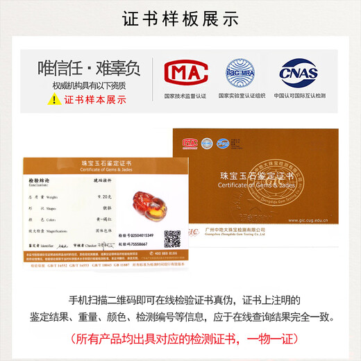 Yuzhi, a variety of 1 items, 1 certificate, 1 shot, collection of natural flower amber Pixiu pendant, amber pendant, sweater chain, holiday gift G349 collection of orphan Pixiu 9.2g, with bead chain