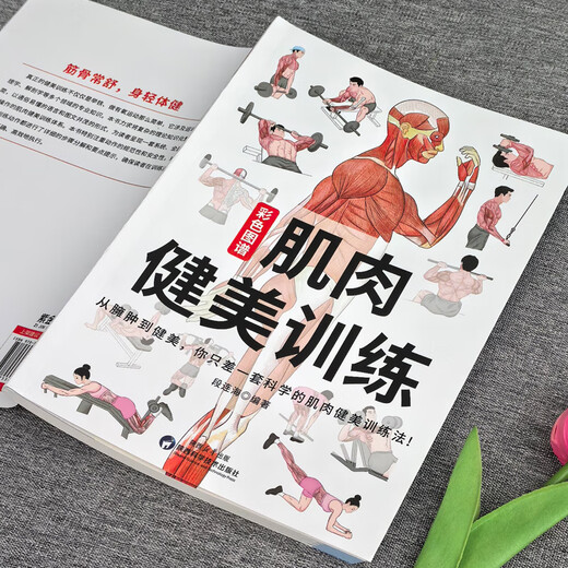 Genuine color atlas, muscle building training illustration, sports anatomy atlas, muscle strength training complete illustration anatomy book, slimming fat loss, fitness muscle kinesiology training illustration, fitness book tutorial collection 5 volumes, muscle building training + fat loss and muscle gain + Pilates + yoga + low fever