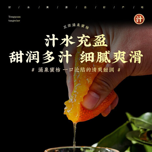 Jingmi Zhejiang Taizhou Yongquan Mandarine, Nettogewicht 2,5 Jin Jin entspricht 0,5 kg, Einzelfrucht 55 mm+, Zitrusfrucht-Geschenkbox, direkt von der Quelle