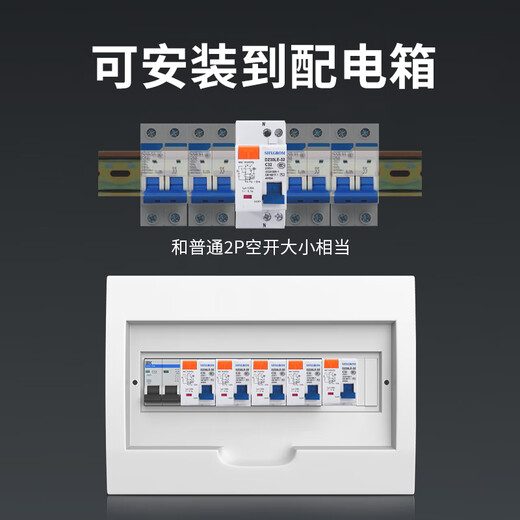 SRCN Shanghai People's DZ30LE-32 C16C20C25 household 220V leakage protector DPN double in and double out air switch 20A