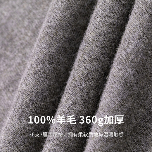 Shanshan (FIRS) 100% sheep wool sweater men's autumn and winter thickened warm semi-worsted easy-care business casual sweater