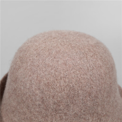 Woodpecker (TUCANO) woolen hat for women in autumn and winter, mother's versatile solid color curled edge small fisherman hat, fashionable and warm woolen hat, mocha color M (56-58cm)