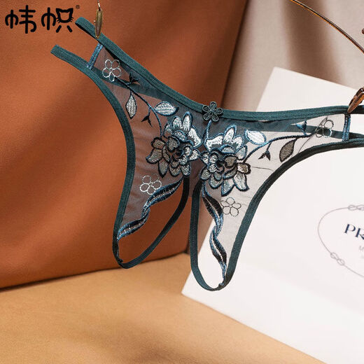 Sexy underwear for women, lace embroidery, sexy, hot, transparent, passionate thong, vaginal underwear, one size fits all, black