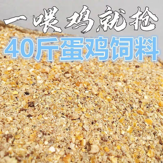 Wholesale chicken feed, laying hen feed, hen full price feed, medium and large chicken laying chicken, duck, goose, corn minced chicken feed, laying hen full price powder, 50 Jin Jin is equal to 0.5 kg