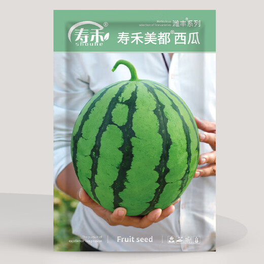 Shouhe watermelon seed seedlings are sweet, juicy and thin-skinned. Fruit seeds for home potted planting. Meidu watermelon seeds 25 capsules.