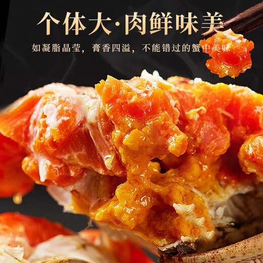[Living Crab] Panjin River Crab Rice Field Crab River Crab Fresh Live Hairy Crab Gift Box Fat Crab Cordless Net Weight Whole Female Crab 1.8-2.1 Twelve [6]