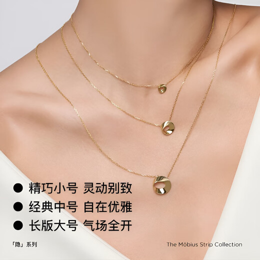 COASZE Hidden Series Möbius Ring Necklace 18K Gold Necklace, Valentine's Day Birthday Gift for Girlfriend and Wife Hidden Gold-Shine Medium Size-Classic and Elegant