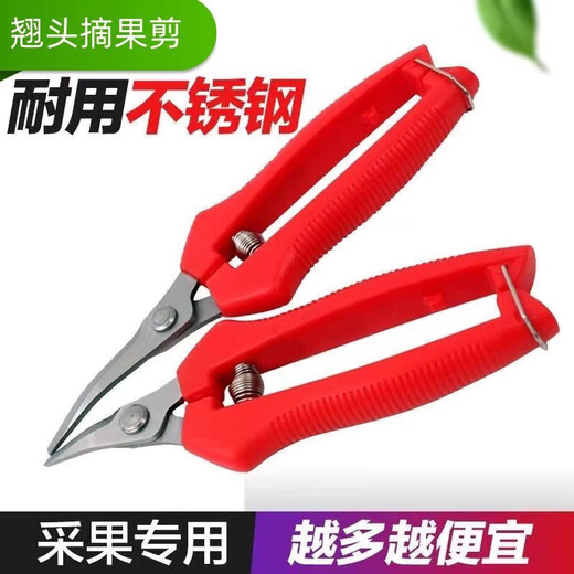 Fengxi thickened stainless steel fruit-picking scissors elbow scissors thinning fruit scissors for picking tomatoes and citrus scissors gardening scissors green thickened stainless steel long scissors with scissors 1 piece for trial