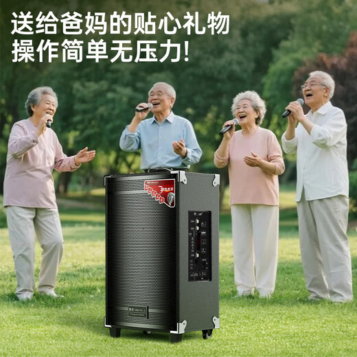 NINTAUS 8-inch square dance speaker outdoor portable Bluetooth speaker high volume high power trolley speaker karaoke professional equipment removable N12-20