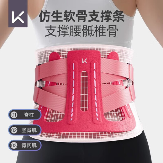 Keep waist protector, medical grade waist support, special lumbar spine support belt for men and women, lumbar disc herniation, lumbar muscle strain L