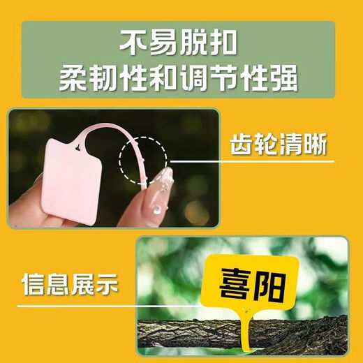 可插可挂防水小标签牌花盆多肉记号植物地牌花卉日期标识标签牌 白色100张