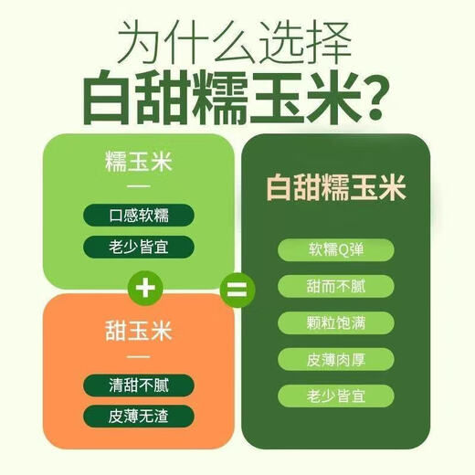 Dongdong Farm exclusively supplies authentic first-crop Northeast fresh waxy corn, soft and waxy brushed vacuum-packed breakfast, Northeast white waxy corn 6 pieces*200g+