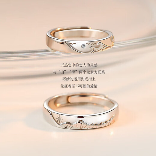 DR Everlasting Oath Platinum Couple Ring PT950 Platinum Pair of Rings Proposal Valentine's Day Birthday Gift for Girlfriend Everlasting Oath-Female Ring