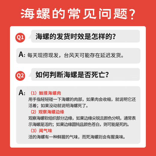 Fresh Jingcai fresh conch, net weight 2Jin Jin is equal to 0.5kg, 8-12 pieces/Jin Jin is equal to 0.5kg, fresh to your home, fresh seafood, straight from the source