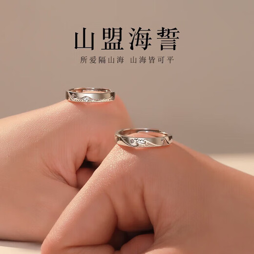 DR Everlasting Oath Platinum Couple Ring PT950 Platinum Pair of Rings Proposal Valentine's Day Birthday Gift for Girlfriend Everlasting Oath-Female Ring