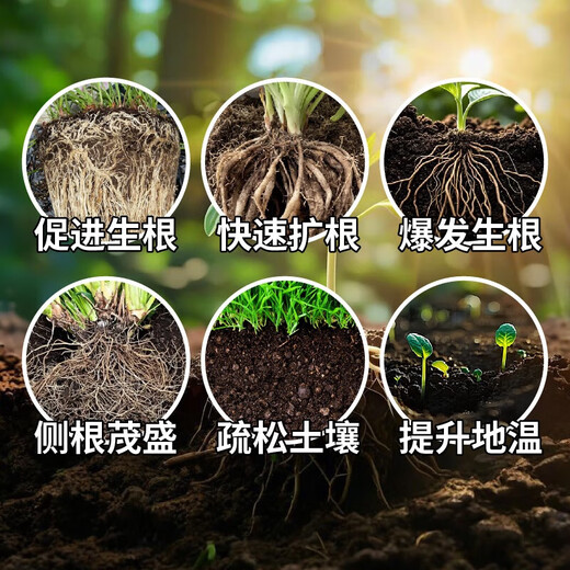 Qitu No. 1 soil conditioner containing humic acid for fruit trees and vegetables to improve loose soil and prevent hardening water-soluble fertilizer 2 barrels in a box