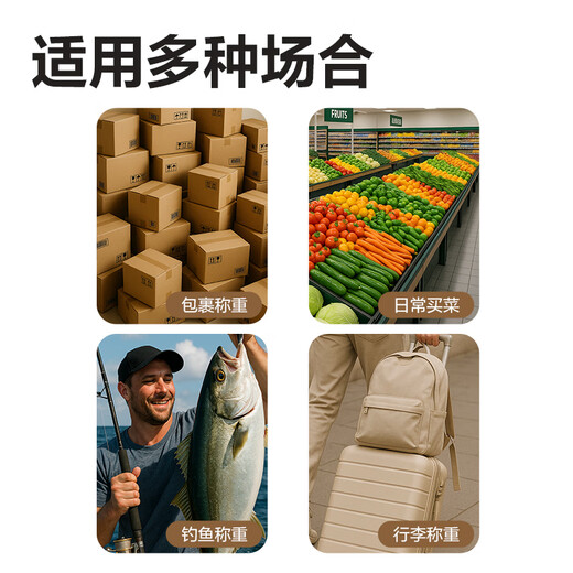 Deli portable electronic scale mini 50kg portable high-precision household small scale express scale spring small scale battery model - black 50kg 20g