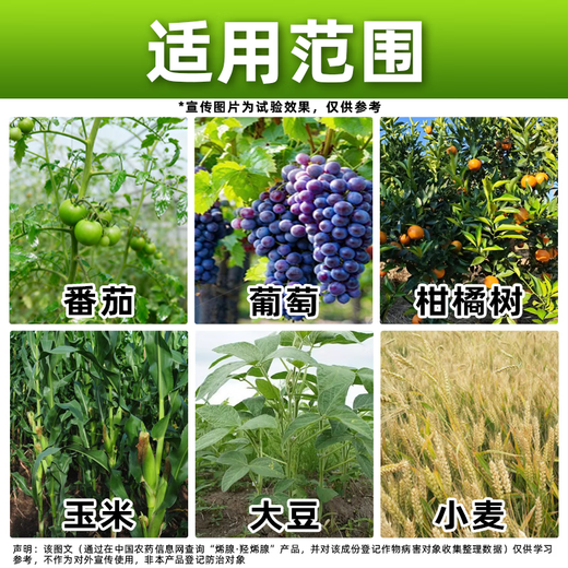 Barometer ene hydroxy ene adenine tomato special growth regulator to increase production special genuine ene adenine hydroxy ene adenine 200g*1 bag store hot sale