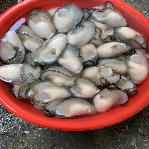 Pure raw oyster meat, freshly shucked, freshly shucked seafood, aquatic pearl oysters, oyster meat, oyster meat, 2 boxes, 250g/box, about 15-30 pcs