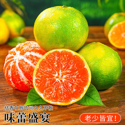 Jingmi Zhejiang Taizhou Yongquan Mandarine, Nettogewicht 2,5 Jin Jin entspricht 0,5 kg, Einzelfrucht 55 mm+, Zitrusfrucht-Geschenkbox, direkt von der Quelle