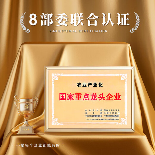 Shuomei Sheep Sai Beitan Sheep Salt-alkaline Lamb Rolled Meat Sliced Fresh 1.2 Jin Jin is equal to 0.5 kg Lamb Hot Pot Stewed BBQ Straight from the Source