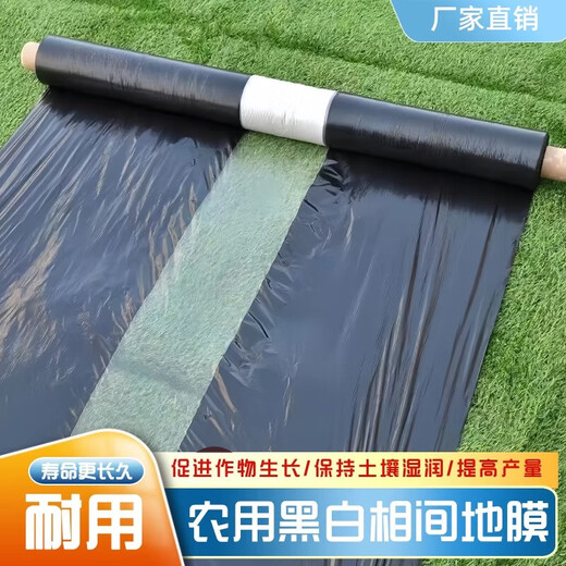 New material white mulch film weeding insulation thickened greenhouse silver black engineering agricultural planting orchard plastic film 1.5Mx730M white mulch film 10.5Jin Jin equals 0.5kg 1S