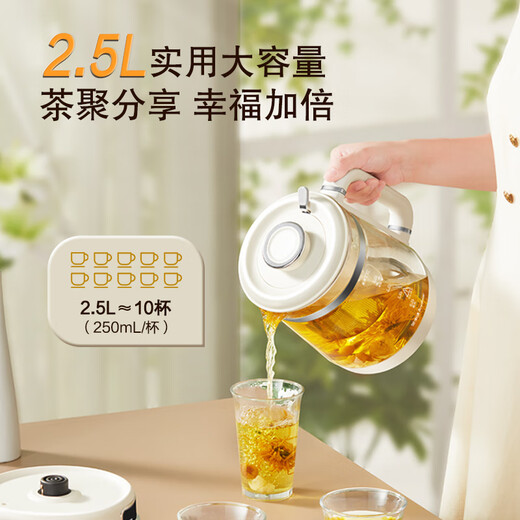 Royalstar health kettle, tea kettle, kettle, household constant temperature kettle, 24H insulation, stew, all-in-one electric kettle, flower tea kettle, enlarged filter, 2.5 liter large capacity YSH25E