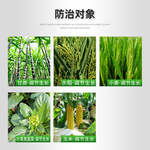 Yunda 120 Yunda 120 28 table high brassinolide leafy vegetables wheat corn plant growth regulator agricultural 500ml