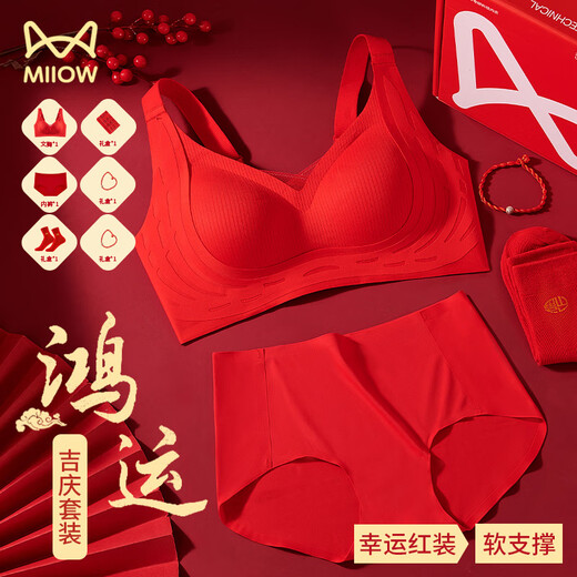 Cat, Man, Horse, Zodiac Year, Women's Underwear Set, Red Small Breast Push Up, Wedding Festive Bra, Underwear, Socks Gift Box
