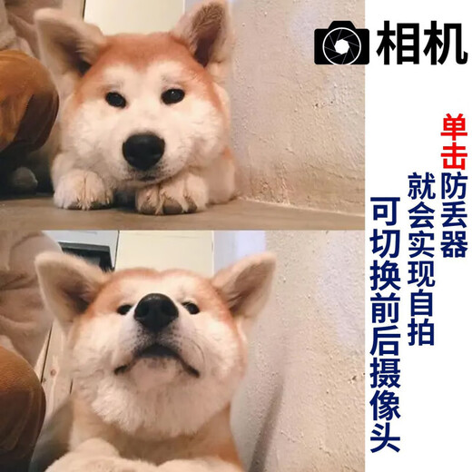 HUAWA同款防丢定位器宠物导航新款智能猫咪狗项圈追踪双向寻找蓝牙防水 拍照报警++项圈升级款 升级款定位器加嫩爪膏