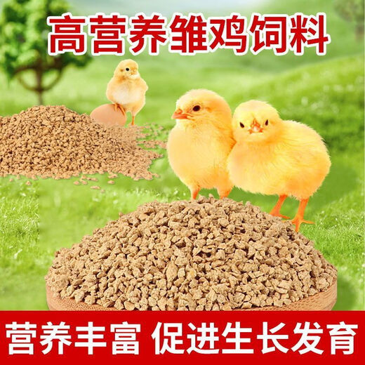Chick feed opening feed chicks duck goose bird feed medium large chicken feed full price chicken feed fishing nest nutritional protein feed young chick feed 021 day small particles buy 250g get 250g free trial