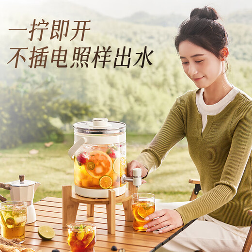 Bear Faucet Health Kettle Health Bucket Flowered Tea Bucket Kettle Tea Maker Teapot Glass Flower Teapot Electric Kettle Household 3L Large Capacity Thermostatic Pot ZDH-F30F1 0 Glue Safe Material Faucet Water Outlet Design 3L