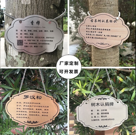 Tree sign, customized tree and flower sign, hanging plant popular science sign, ancient tree insertion sign, introduction sign, stainless steel 20*15CM