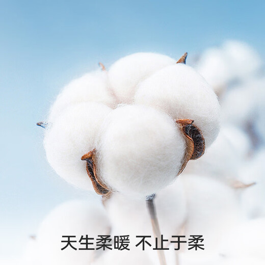 MiiOW Men's Thermal Underwear Pure Cotton Autumn Clothes Autumn Pants Round Neck Brushed Maternal and Infant Grade First-Class Lycra Baby Cotton Suit