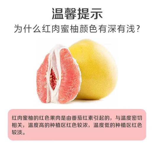 Fujian Pinghe old tree red pomelo, a fruit suitable for all ages, 1.5-2Jin Jin is equal to 0.5kg, thin skin, thick flesh and juicy