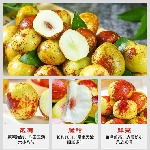 Jingxiansheng Shandong Zhanhua Winter Dates Net weight 4.5Jin Jin is equal to 0.5kg Single fruit 15g+ Fresh fruits are crisp and refreshing straight from the source