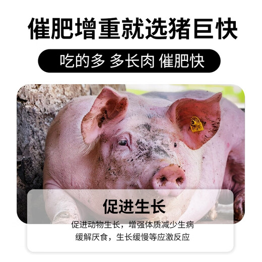 Pig giant fast pig daily growth and fattening veterinary feed additive for fattened pigs for fast fattening and rapid weight gain Pig giant fast bone pulling king 500g*1 pack