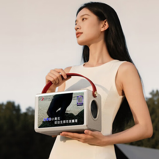 Sony Ericsson (soaiy) BK25 ktv audio set audio smart touch screen song request k microphone microphone AI song request singing home ktv song request audio karaoke all-in-one Bluetooth speaker outdoor