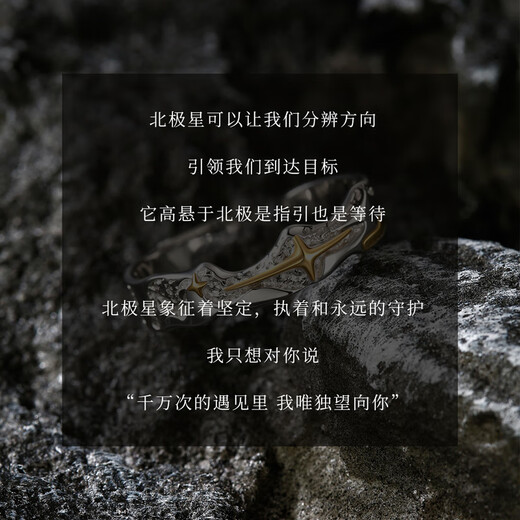 MOLC sterling silver Polaris ring men's 2025 new men's tail ring niche design self-disciplined high-end birthday gift 925 silver Polaris ring gift box + certificate R0681