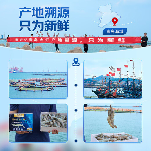 Fishing Travel Notes Qingdao Prawns 3Jin Jin is equal to 0.5kg Clean Shrimp 90-105 Prawns White Shrimp Jiwei Shrimp Fresh Shrimp