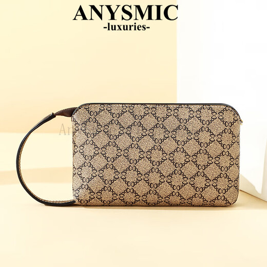 ANYSMIC luxury high-end brand bag women's bag clutch bag spring and summer new fashion versatile hand bag multi-functional mobile phone bag brown