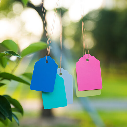 100 Stück Hängeetiketten, Pflanzenschilder, Baumschilder, klassifizierte Farbkarten, Kunststoff, wasserfest, lichtecht, lichtecht P 2,5*3,6 cm blau, 100 Stück