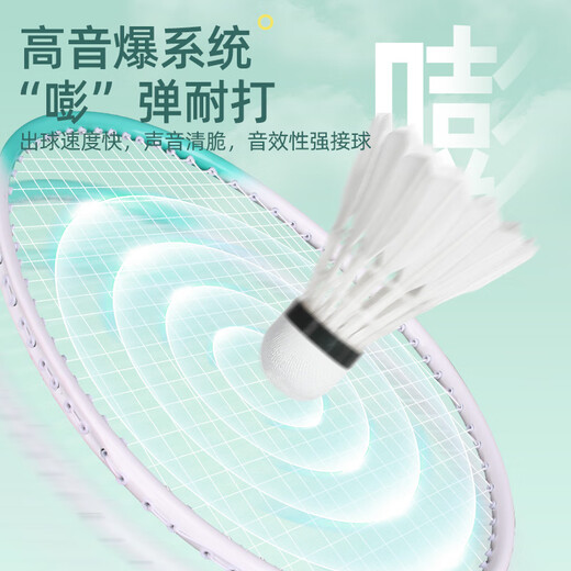 安踏（ANTA）羽毛球拍对拍铝合金深凹槽超轻耐打训练成人儿童学生羽拍621-3