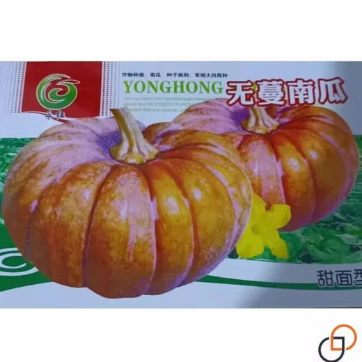 Vineless pumpkin seeds, sweet pumpkin, chestnut flavor powder, waxy and sweet chestnut pumpkin seeds, high yield and disease resistance, original two packs, about 40 pieces +, vineless pumpkin seeds