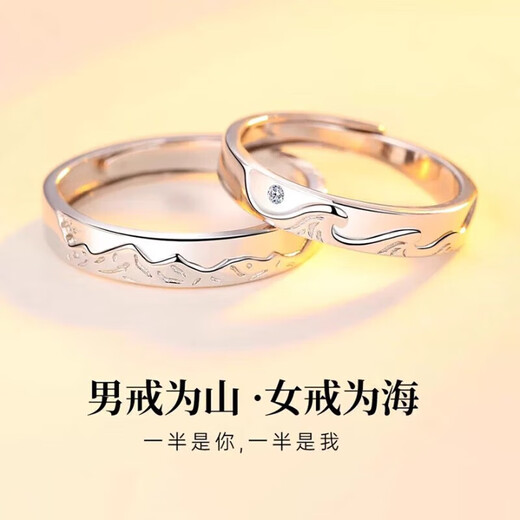 DR Everlasting Oath Platinum Couple Ring PT950 Platinum Pair of Rings Proposal Valentine's Day Birthday Gift for Girlfriend Everlasting Oath-Female Ring